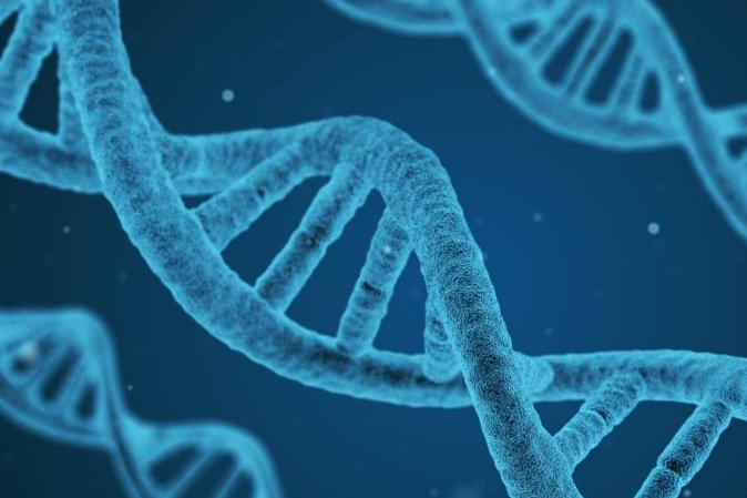 欧创柯亿细胞医疗集团